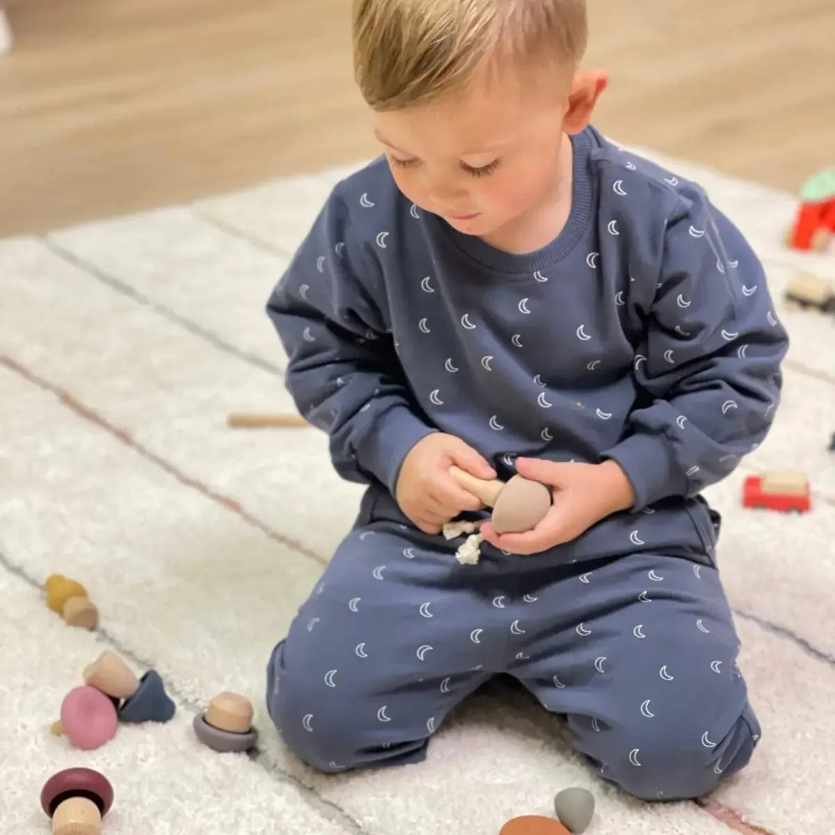 Wood   Silicone Mushroom Sorting Set